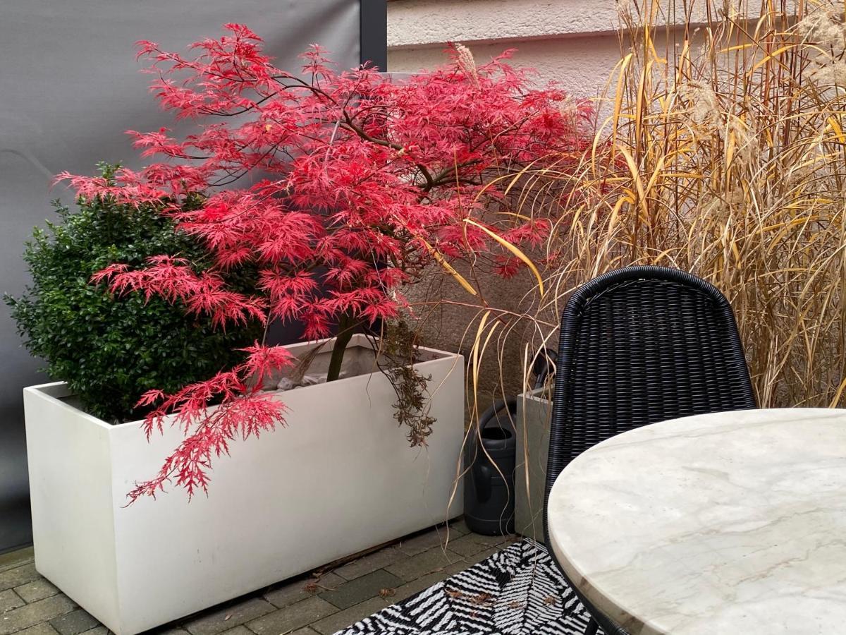 Como Design-Apartment Close To Isar River Area - Centrally Located München Exterior foto