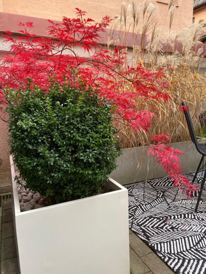 Como Design-Apartment Close To Isar River Area - Centrally Located München Exterior foto